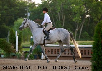 SEARCHING FOR HORSE Grace, Near unknown, Other, 00000